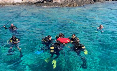 people in water during daytime
