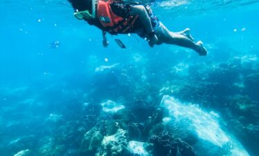 man in black and red diving suit diving on water