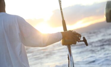 ocean, fishing, deep sea fishing, fisherman, sport, catch, sea, water, nature, fish, boat, travel, rod, fishing, fishing, fishing, fishing, fishing