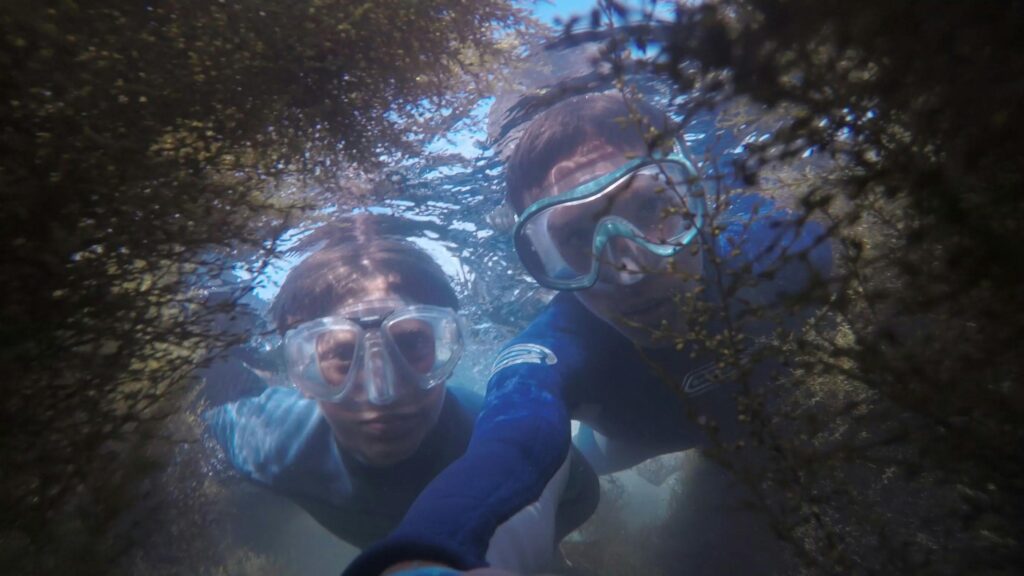 Two snorkelers explore underwater terrain, surrounded by aquatic plants.