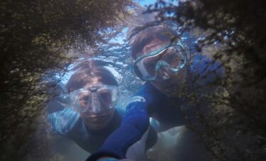 Two snorkelers explore underwater terrain, surrounded by aquatic plants.